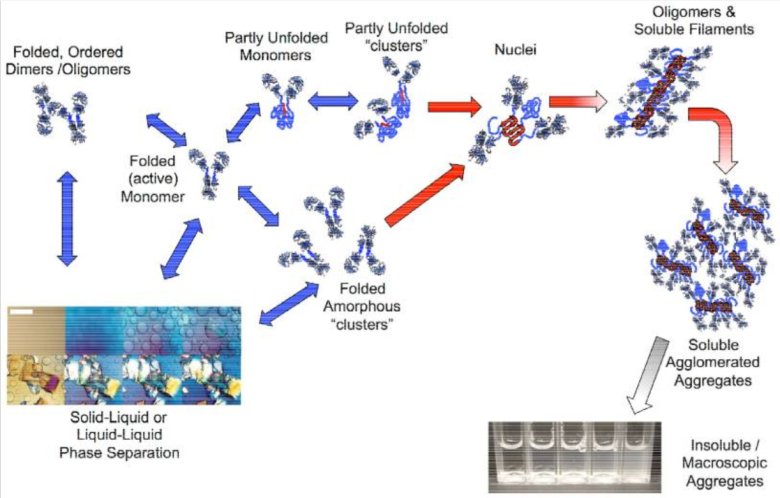 090555_472258_jswz.png 090555_472258_jswz.png